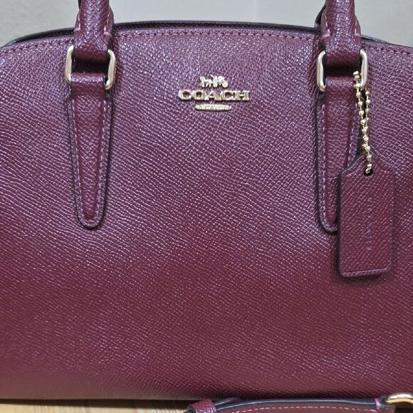 Coach Mini Sage Carryall and Wallet Set - Picture 4 of 14